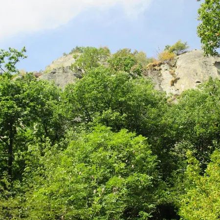 Borney * Fontainemore