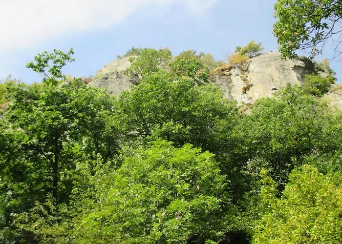 Borney * Fontainemore